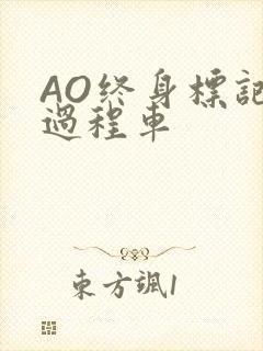 AO终身标记全过程车