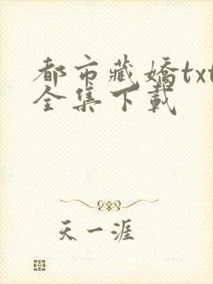 都市藏娇txt全集下载