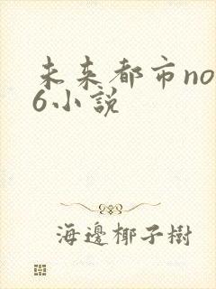未来都市no.6小说