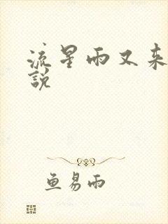 流星雨又来临小说