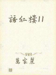 诱红楼11