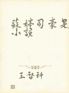 苏婷司豪是什么小说