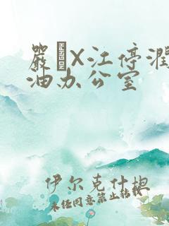 严峫X江停润滑油办公室