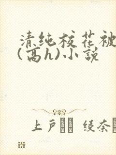 清纯校花被调教(高h)小说