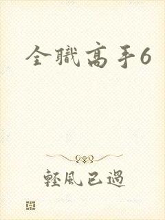 全职高手6