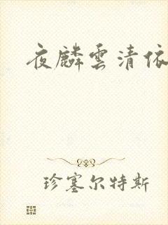 夜麟云清依小说
