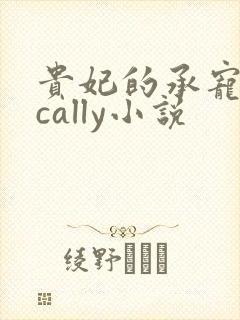 贵妃的承宠日常cally小说