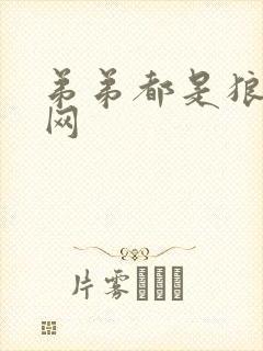 弟弟都是狼书包网