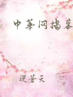 中华网揭幕内参