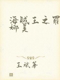 海贼王之罗宾h娜美