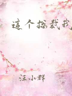 这个总裁我要了