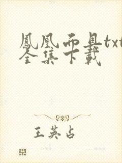 凤凰面具txt全集下载