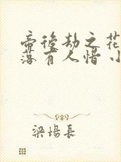 帝后劫之花开花落有人惜 小说