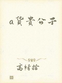 a货贵公子