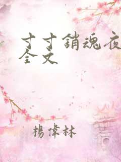 寸寸销魂夜春光全文