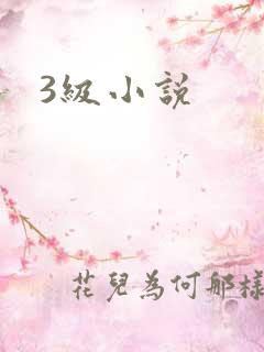 3级小说
