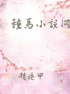 种马小说网