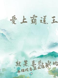 爱上霸道王子