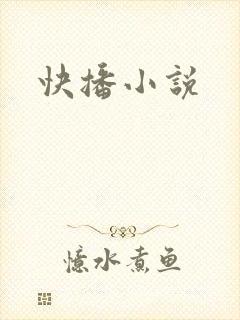 快播小说
