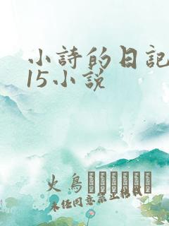 小诗的日记1一15小说