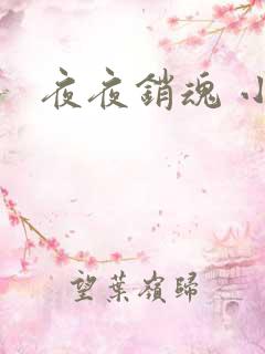 夜夜销魂 小说