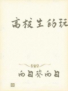高校生的玩物