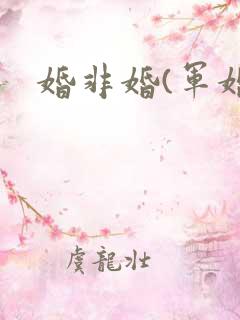 婚非婚(军婚)