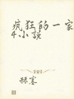 疯狂的一家PS4小说