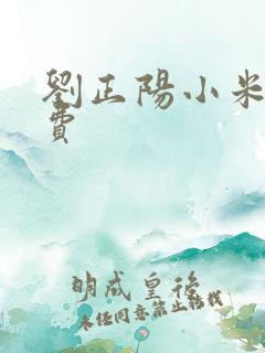 刘正阳小米多免费