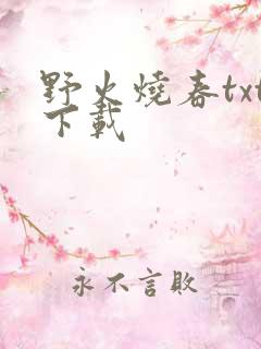 野火烧春txt下载
