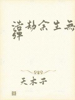 浩劫余生无限子弹