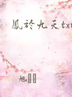 凤于九天txt