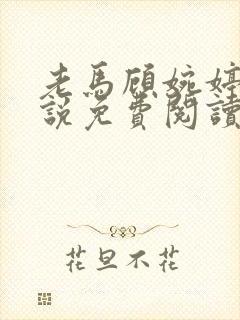 老马顾婉婷的小说免费阅读