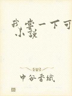 我尝一下可以吗 小说