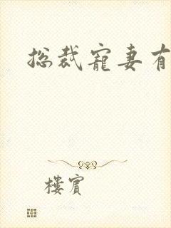 总裁宠妻有点忙