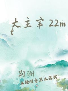 大主宰 22mt