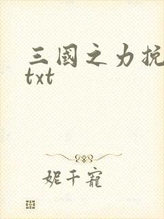 三国之力挽狂澜txt