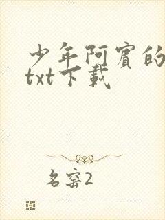 少年阿宾的故事txt下载