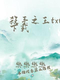 杀手之王txt下载