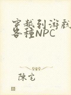穿越到游戏里和各种NPC