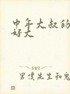 中年大叔的包包好大