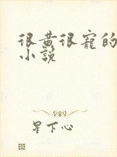 很黄很宠的总裁小说