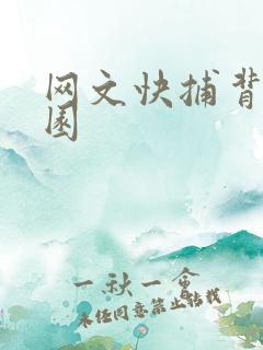 网文快捕背影家园
