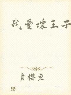 我爱坏王子