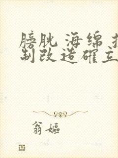 膀胱 海绵 控制改造确立m