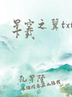 星空之翼txt下载