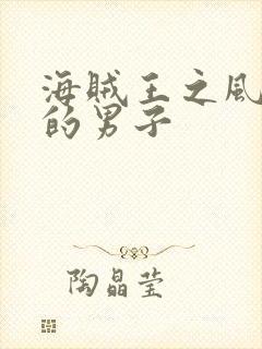 海贼王之风一样的男子