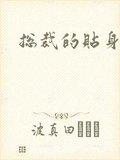 总裁的贴身冷秘