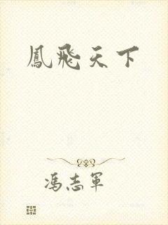 凤飞天下