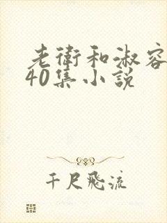 老卫和淑容1-40集小说